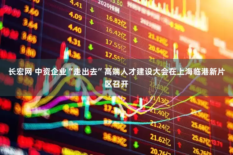 长宏网 中资企业“走出去”高端人才建设大会在上海临港新片区召开