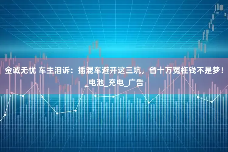 金诚无忧 车主泪诉：插混车避开这三坑，省十万冤枉钱不是梦！_电池_充电_广告