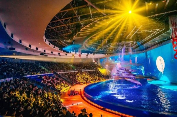 顺发配资 门票预订暴增313%！上海这个乐园国庆放大招：虎鲸红歌会、海底过中秋……